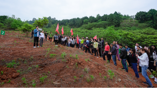 省人生就是博尊龙凯时集团开展龙泉山都会森林公园 “包山头”植树运动